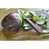 Нож для чистки картофеля VICTORINOX POTATO PEELER 5.0109